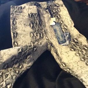 Blue Spice Snake Skinnies